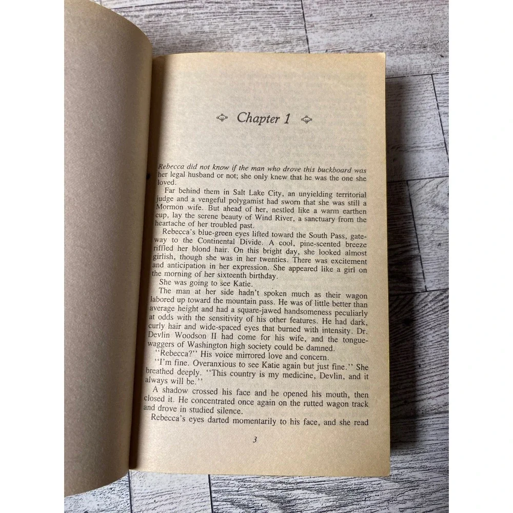 Powder River Western Romance Novel by Gary McCarthy Ballantine Books 1985 1st Pr